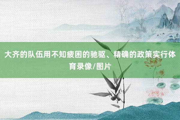 大齐的队伍用不知疲困的驰驱、精确的政策实行体育录像/图片