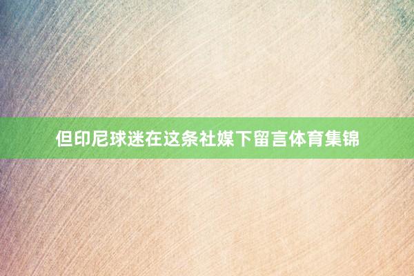 但印尼球迷在这条社媒下留言体育集锦