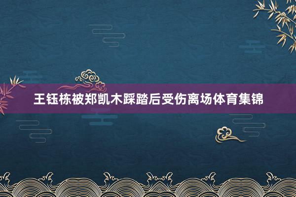 王钰栋被郑凯木踩踏后受伤离场体育集锦