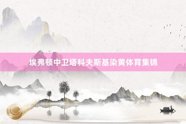 埃弗顿中卫塔科夫斯基染黄体育集锦