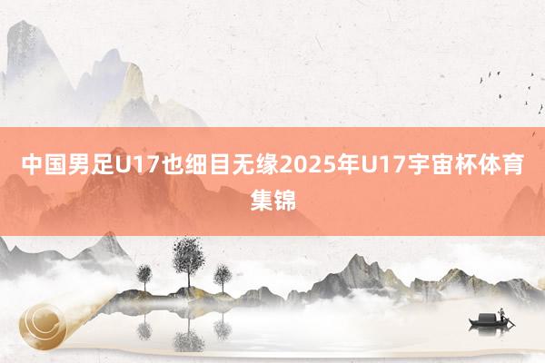 中国男足U17也细目无缘2025年U17宇宙杯体育集锦