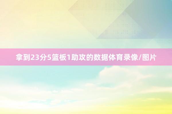 拿到23分5篮板1助攻的数据体育录像/图片