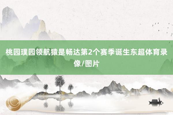 桃园璞园领航猿是畅达第2个赛季诞生东超体育录像/图片
