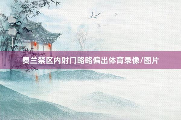 费兰禁区内射门略略偏出体育录像/图片