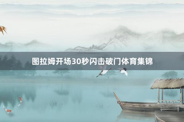 图拉姆开场30秒闪击破门体育集锦