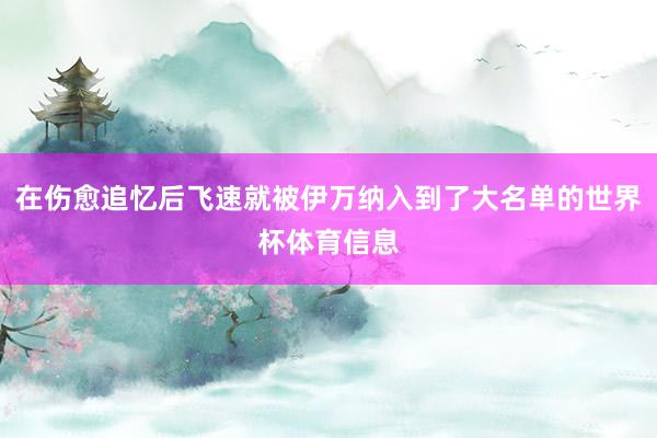在伤愈追忆后飞速就被伊万纳入到了大名单的世界杯体育信息