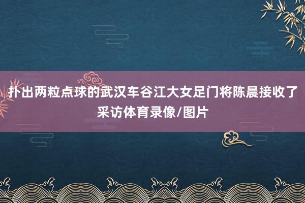 扑出两粒点球的武汉车谷江大女足门将陈晨接收了采访体育录像/图片