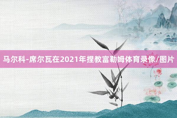 马尔科-席尔瓦在2021年捏教富勒姆体育录像/图片