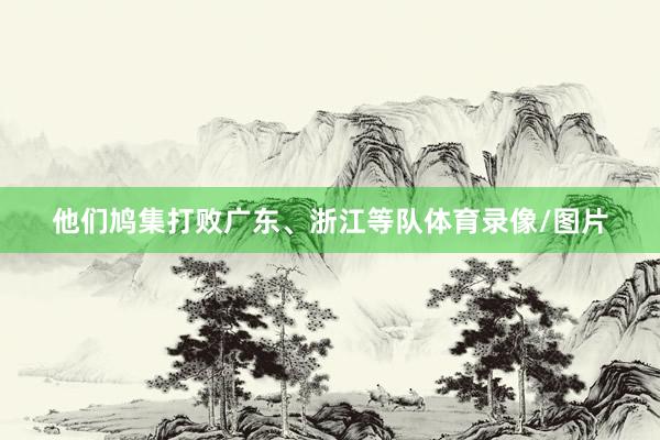 他们鸠集打败广东、浙江等队体育录像/图片