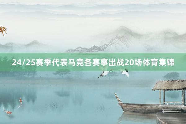 24/25赛季代表马竞各赛事出战20场体育集锦