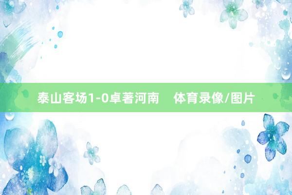 泰山客场1-0卓著河南 体育录像/图片