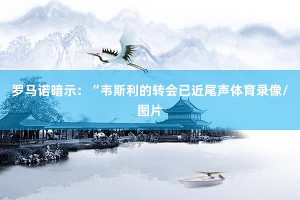 罗马诺暗示：“韦斯利的转会已近尾声体育录像/图片