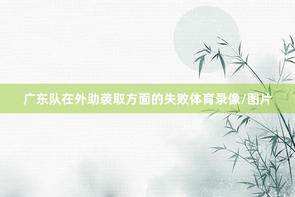 广东队在外助袭取方面的失败体育录像/图片