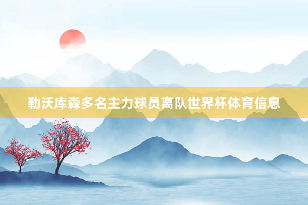 勒沃库森多名主力球员离队世界杯体育信息