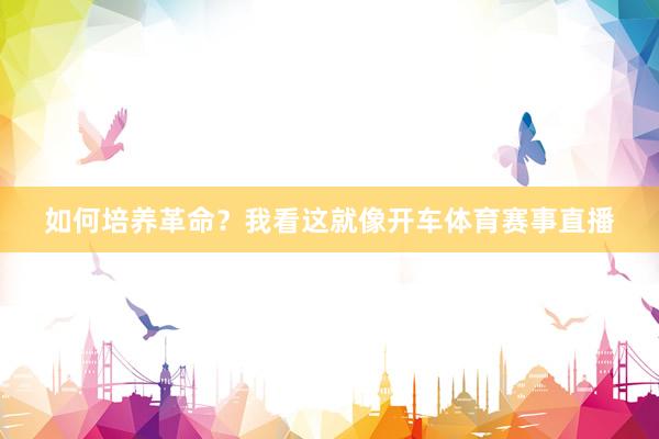 如何培养革命？我看这就像开车体育赛事直播
