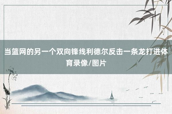 当篮网的另一个双向锋线利德尔反击一条龙打进体育录像/图片