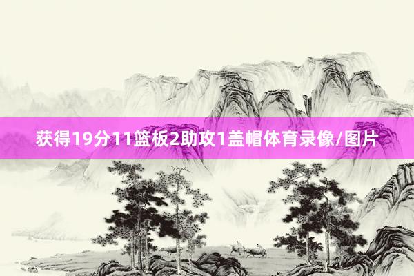 获得19分11篮板2助攻1盖帽体育录像/图片