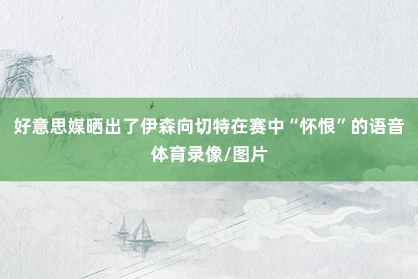 好意思媒晒出了伊森向切特在赛中“怀恨”的语音体育录像/图片
