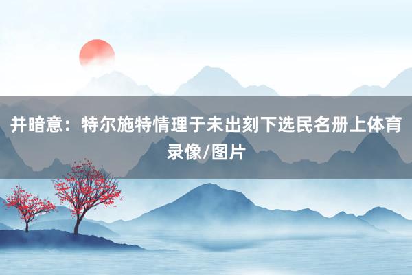并暗意：特尔施特情理于未出刻下选民名册上体育录像/图片