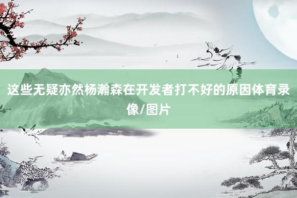 这些无疑亦然杨瀚森在开发者打不好的原因体育录像/图片