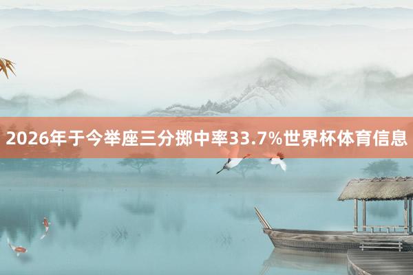 2026年于今举座三分掷中率33.7%世界杯体育信息