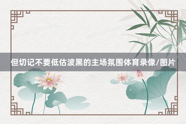 但切记不要低估波黑的主场氛围体育录像/图片