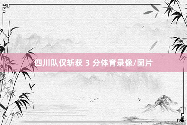 四川队仅斩获 3 分体育录像/图片