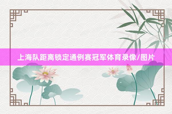 上海队距离锁定通例赛冠军体育录像/图片