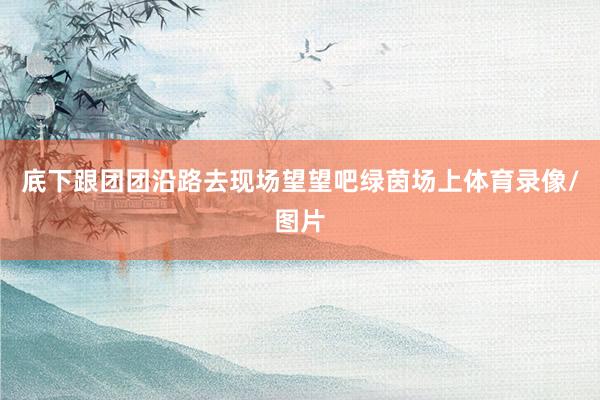 底下跟团团沿路去现场望望吧绿茵场上体育录像/图片