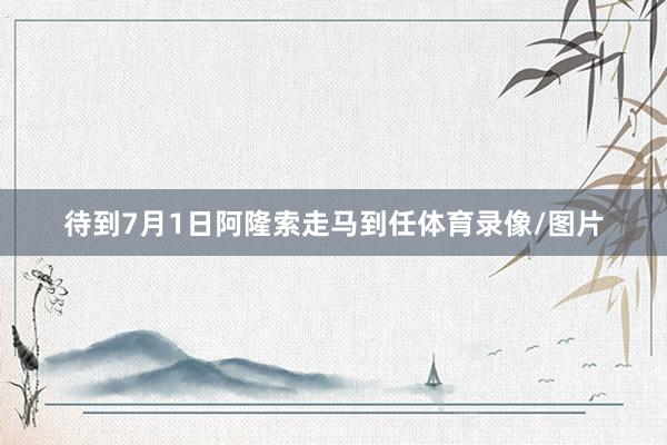 待到7月1日阿隆索走马到任体育录像/图片