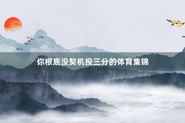 你根底没契机投三分的体育集锦