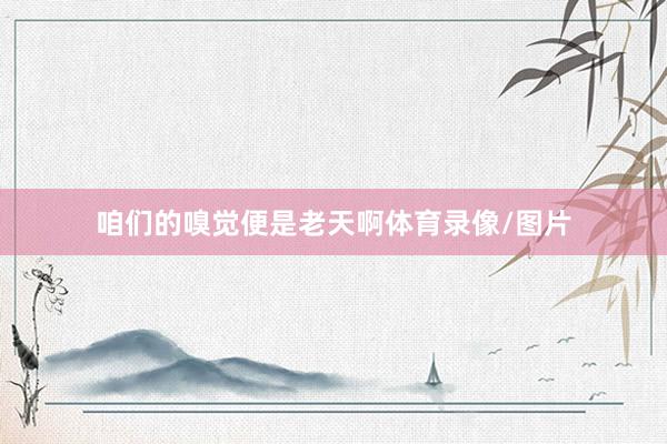 咱们的嗅觉便是老天啊体育录像/图片