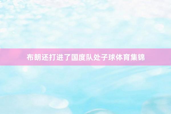 布朗还打进了国度队处子球体育集锦