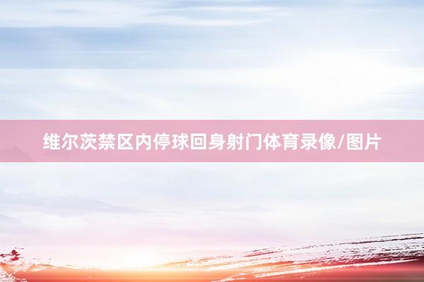维尔茨禁区内停球回身射门体育录像/图片
